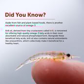 2 - Neuherbs Deep-Sea Heart Omega with Rimfrost Krill Oil Lemon,  30 softgels 