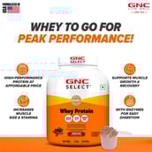 3 - GNC Select Whey Protein,  4.4 lb  Chocolate (with Shaker) 