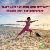 4 - Pure Nutrition Organic Beetroot Powder, 227 g