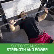 13 - ON (Optimum Nutrition) Micronized Creatine Powder Unflavoured 0.55 lb with Gold Standard 100% Whey Protein,  2 lb  Double Rich Chocolate 