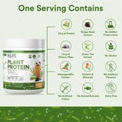 8 - INLIFE Vegan Plant Protein,  1.1 lb  Cookies & Cream 