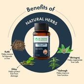 3 - Dr. Vaidya's Liver Care,  180 tablets 