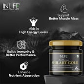 9 - INLIFE Pure Himalayan Shilajit Gold,  20 g 