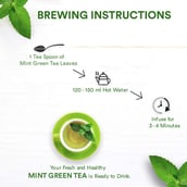 5 - The Tea Ark Mint Green Tea,  50 g  100% Natural - Tin 
