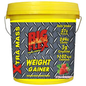 Big Flex Weight Gainer,  3.3 lb  Strawberry 