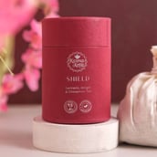 2 - Karma Kettle Shield Turmeric Ginger & Cinnamon Tea,  Natural  15 Tea Bag(s) 