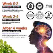 6 - Health Veda Organics Plant Based B-Complex,  120 tablet(s)  Unflavoured 