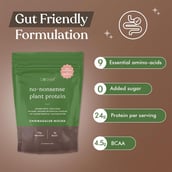 2 - Cosmix No-Nonsense Plant Protein,  12 sachets/pack  Chikmagalur Mocha 