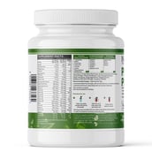 INLIFE Vegan Plant Protein,  2.2 lb  Chocolate 