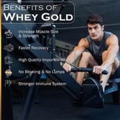 6 - Nakpro Whey Gold Protein Concentrate,  4.4 lb  Double Rich Chocolate 