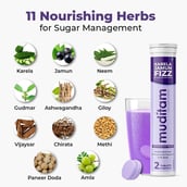 4 - Muditam Karela Jamun Fizz,  Unflavoured (Pack of 15)  20 tablet(s) 