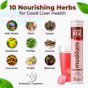 4 - Muditam Liver Fix (Pack of 3),  20 tablet(s) 