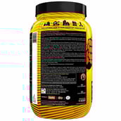 description - Avvatar Absolute 100% Whey Protein,  2.2 lb  Belgian Chocolate 