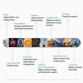 5 - Decode Age LongeVit,  30 tablet(s) 