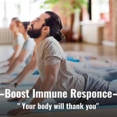 4 - Humming Herbs Citrus Bergamot,  180 capsules 