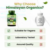 6 - Himalayan Organics Zinc Citrate 13.2mg,  120 veggie capsule(s) 