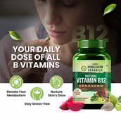 7 - Himalayan Organics Plant Based Vitamin B12 Natural, 60 veggie capsule(s) Unflavoured