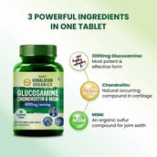 6 - Himalayan Organics Glucosamine Chondroitin & MSM,  90 tablet(s) 