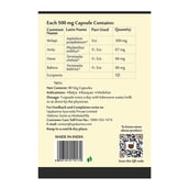 4 - Upakarma Ayurveda Shilajit,  90 capsules 