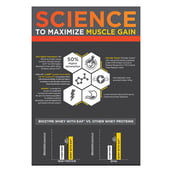 6 - MuscleBlaze Biozyme Whey PR,  2.2 lb  Cookies & Cream 