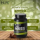 3 - INLIFE Muscle Mass Gainer Protein Powder with Whey Protein, 2.2 lb Chocolate