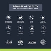 7 - Nutrabay Wellness All-Natural Plant Protein + Superfoods,  1.1 lb  Gourmet Chocolate 