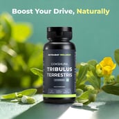 3 - Nutrabay Wellness Gokshura Tribulus Terrestris,  60 capsules 