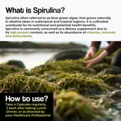 7 - Health Veda Organics Spirulina,  120 veggie capsule(s) 