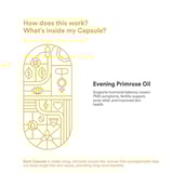 5 - Origins Nutra Evening Primrose Oil 500mg (Pack of 3),  28 softgels 