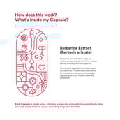 4 - Origins Nutra Berberine 500mg (Pack of 3), 28 capsules