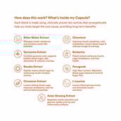 4 - Origins Nutra Blood Sugar Balance (Pack of 2),  56 veggie capsule(s) 