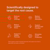 3 - Origins Nutra Blood Sugar Balance (Pack of 2),  56 veggie capsule(s) 