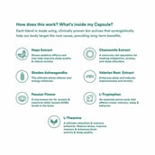 5 - Origins Nutra Stress-Sleep Aid (Pack of 2),  56 veggie capsule(s) 