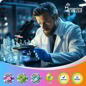 3 - Humming Herbs NAD+,  90 capsules 