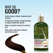 5 - Morpheme Remedies Bhringraj Onion & Black Seed Shampoo,  300 ml  with Red Onion Oil, Amla, Neem, Shikakai Extracts 