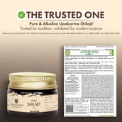 9 - Upakarma Ayurveda Pure Shilajit,  10 g 
