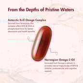 4 - WishNew Wellness Krill Omega Complex, 120 softgels