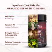 3 - WishNew Wellness Alpha Booster of Testo,  30 tablet(s)  Unflavoured (Pack of 2) 