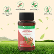 8 - Dr. Vaidya's Shuddha Ashwagandha (Pack of 3),  60 tablet(s) 
