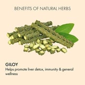 3 - Dr. Vaidya's Giloy Ras (Pack of 2),  950 ml 