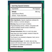 6 - NourishVitals Shilajit,  60 veggie capsule(s) 