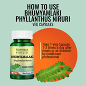 4 - Morpheme Remedies Phyllanthus Niruri (500 mg),  60 veggie capsule(s) 