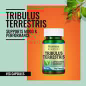 2 - Morpheme Remedies Tribulus Terrestris (500 mg),  60 veggie capsule(s) 