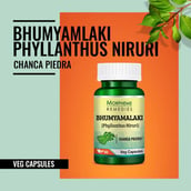 2 - Morpheme Remedies Phyllanthus Niruri (500 mg),  60 veggie capsule(s) 