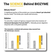 2 - MuscleBlaze Biozyme Performance Whey,  4.4 lb  Rich Chocolate with Shaker