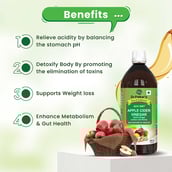 3 - Dr. Patkar's Apple Cider Vinegar,  0.5 L  Garlic, Ginger, Lemon & Honey 