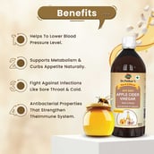 3 - Dr. Patkar's Apple Cider Vinegar,  0.5 L  Garlic & Honey 