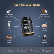 6 - Nutrabay Gold Mega Mass Gainer, 2.2 lb Vanilla Ice Cream