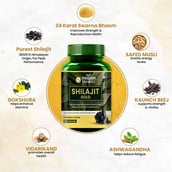 3 - Himalayan Organics Shilajit Gold,  60 capsules 