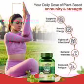 4 - Vlado's Himalayan Organics Zinc with Vitamin C,  120 tablet(s) 